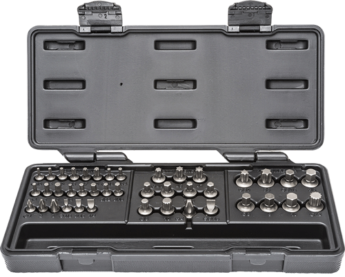 Picture of 41 Pc. Master Ratcheting Wrench Insert Bit Set