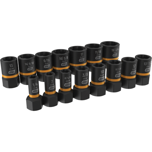 Picture of 15 Pc. 1/4" & 3/8" Bolt Biter Extraction Socket Set
