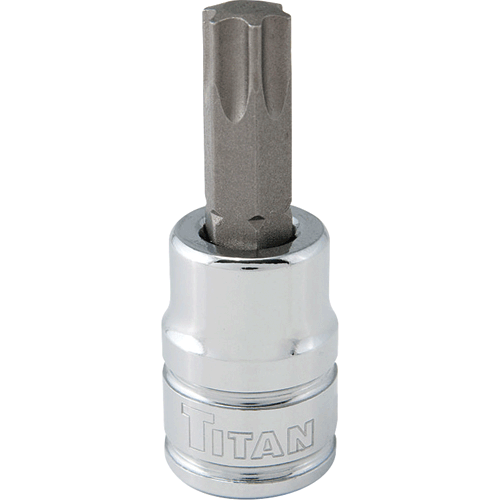 Picture of 3/8" Dr. x T-50 Star Bit Socket
